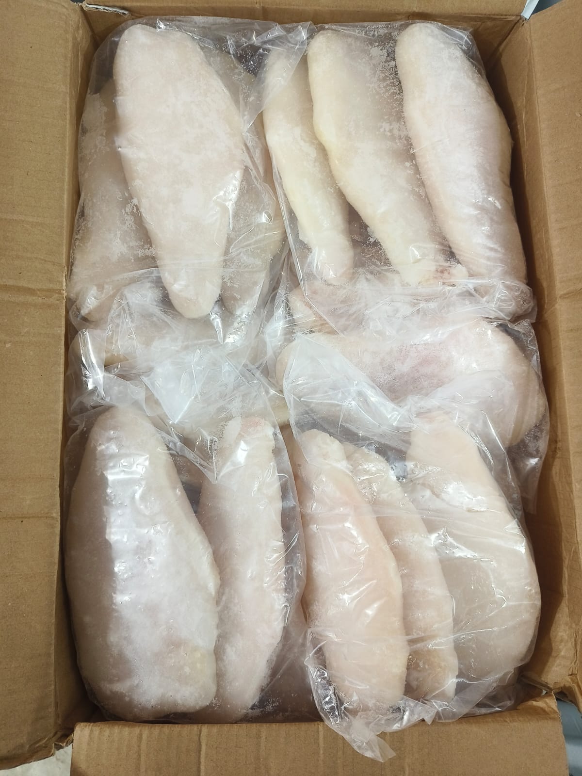 Fillet Dori