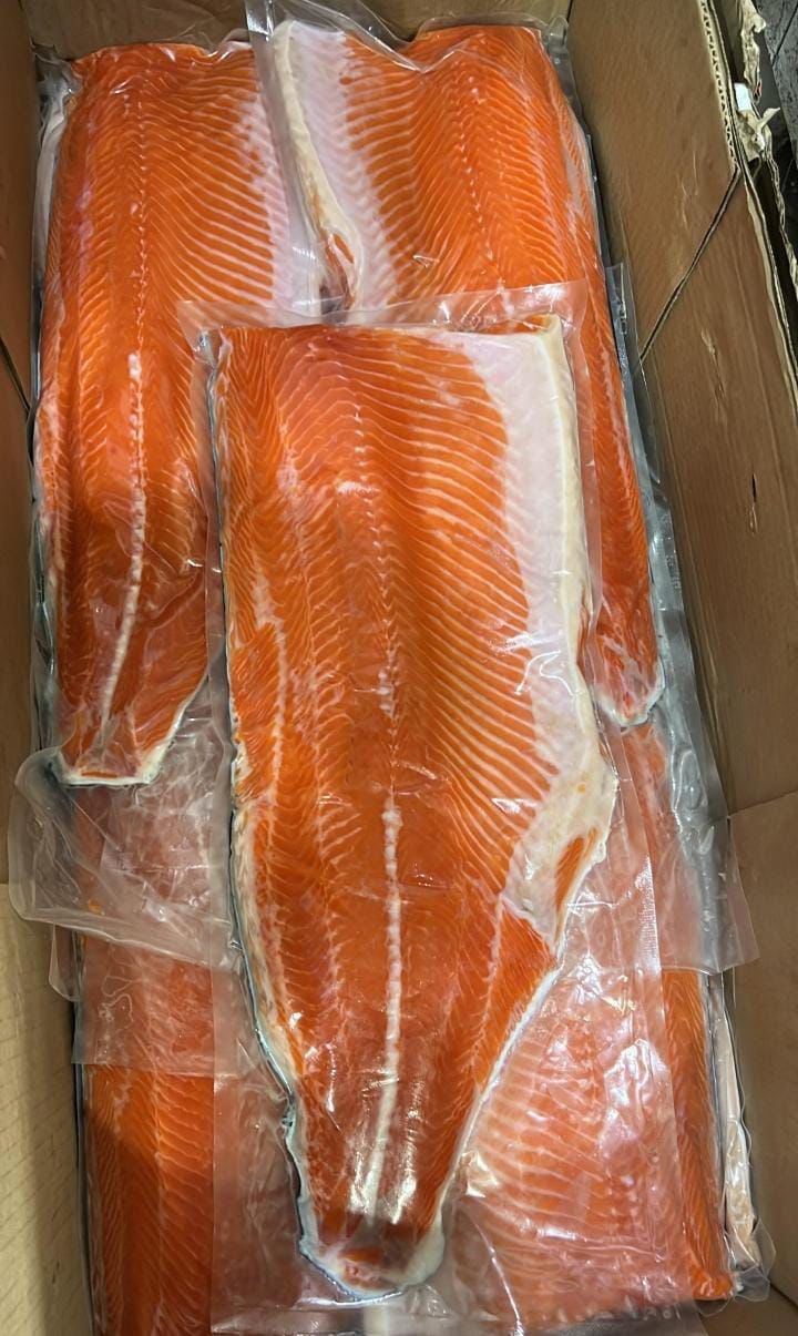 Ikan Salmon