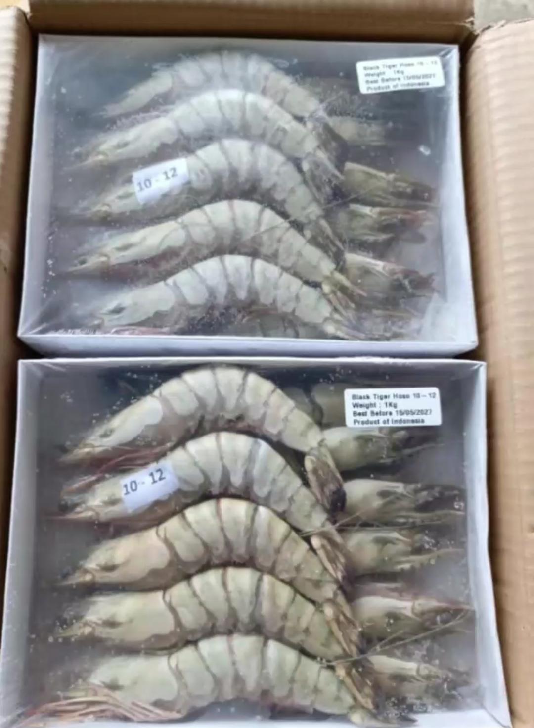 Udang Tiger Pancet
